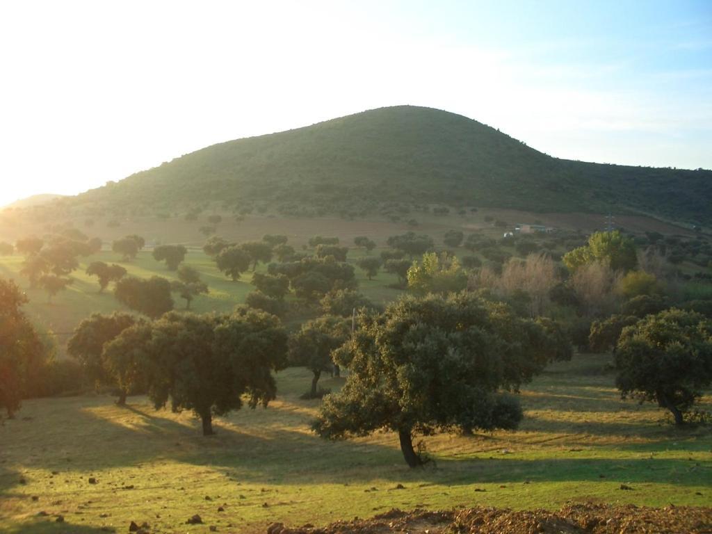 Cortijo El Criadero El Hoyo Kamer foto