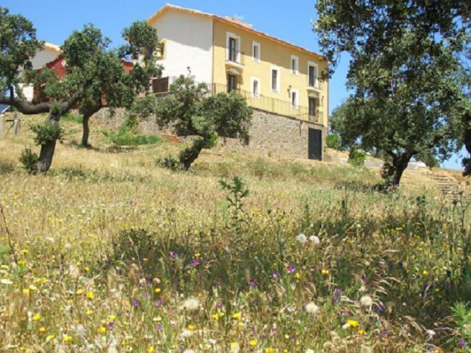 Cortijo El Criadero El Hoyo Buitenkant foto